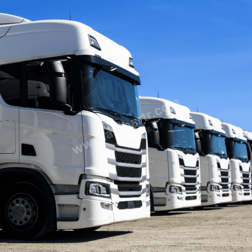 Foça Ambar